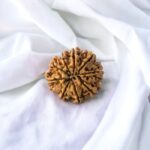 9 Mukhi Rudraksha
