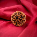 Seven-Mukhi Rudraksha