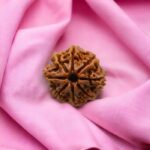 Eight-Mukhi Rudraksha